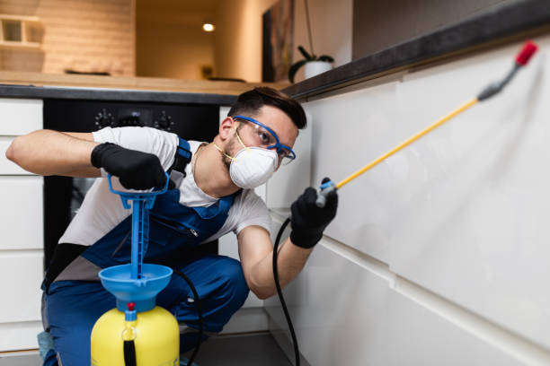 Best Cockroach Control Services  in Ballville, OH