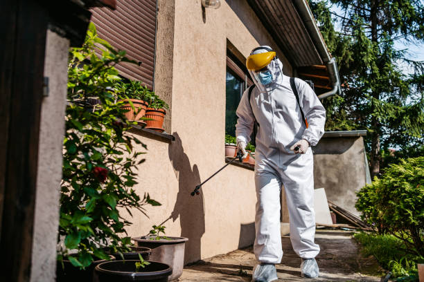 Best Best Pest Control Companies  in Ballville, OH