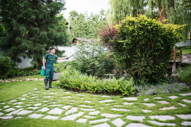 Best Emergency Pest Control  in Ballville, OH