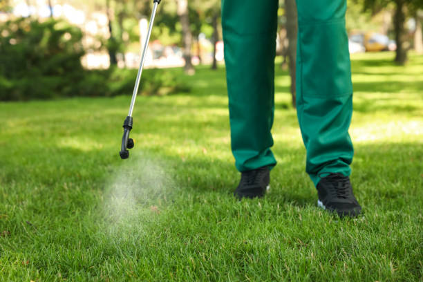 Best Residential Pest Control  in Ballville, OH
