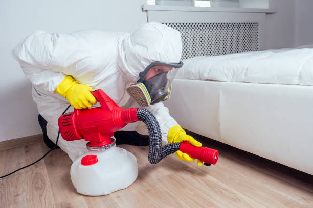 Best Pest Inspection Near Me  in Ballville, OH