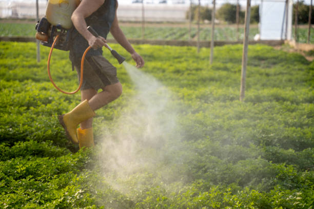 Best Best Pest Control Near Me  in Ballville, OH