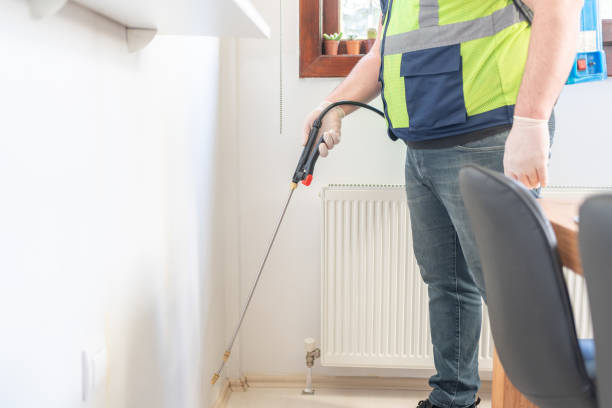 Best Mosquito Control Services  in Ballville, OH