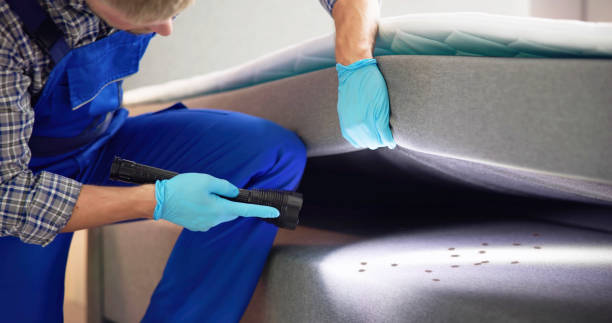 Trusted Ballville, OH Pest Control Experts