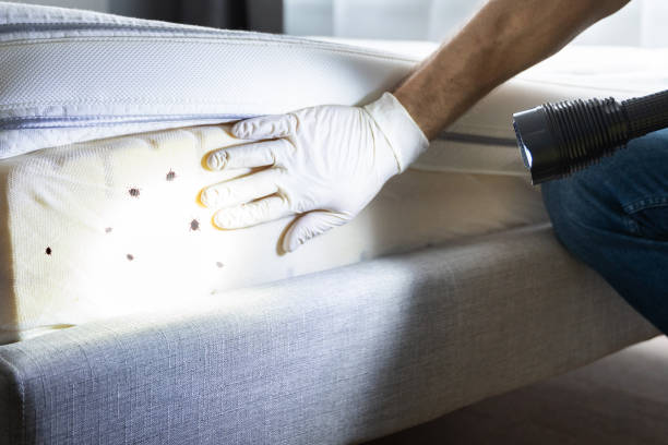 Best Best Pest Control Companies  in Ballville, OH