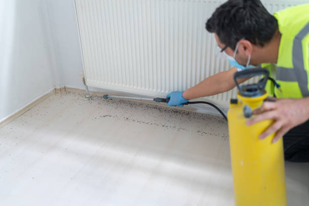Best Pest Control for Homes  in Ballville, OH