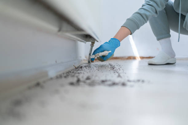 Wildlife Control Services in Ballville, OH